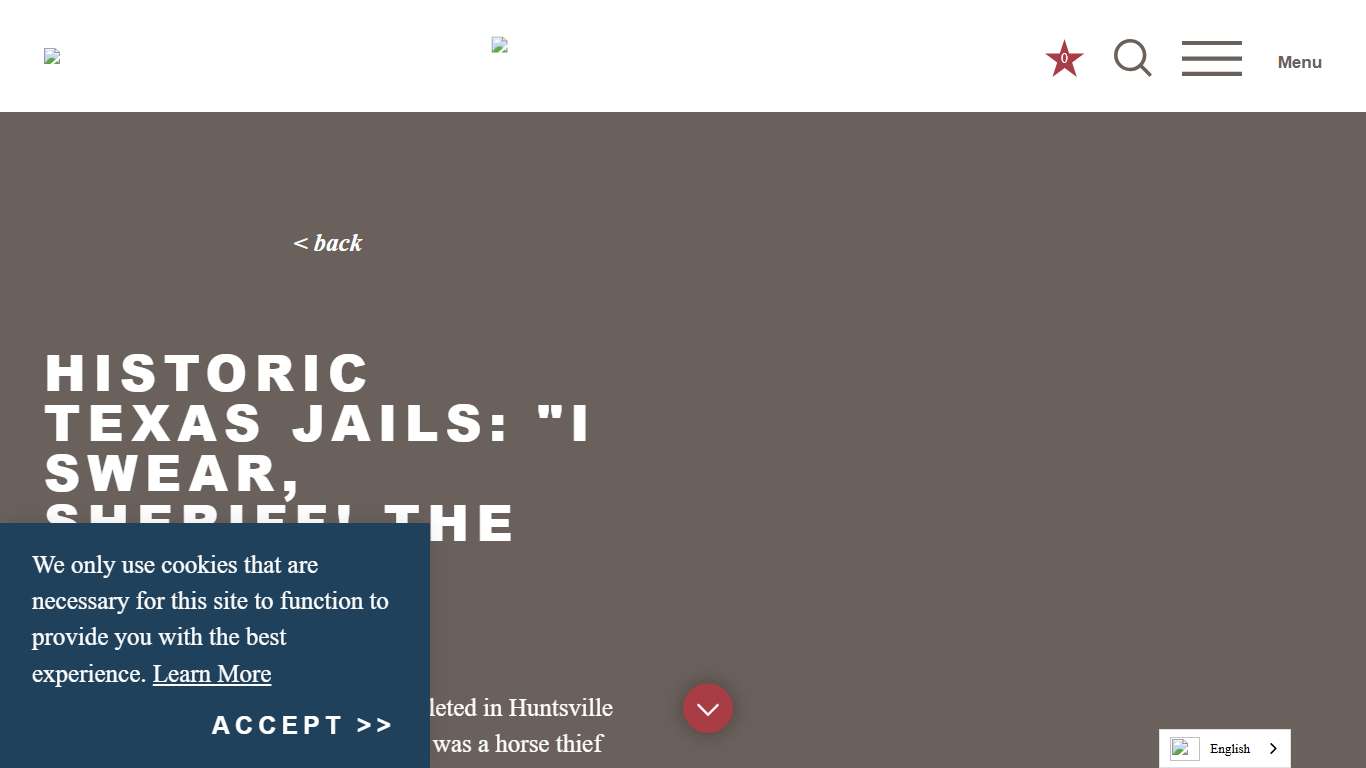 Historic Texas Jails: "I Swear, Sheriff! The Horse Is Mine!" Texas Time Travel